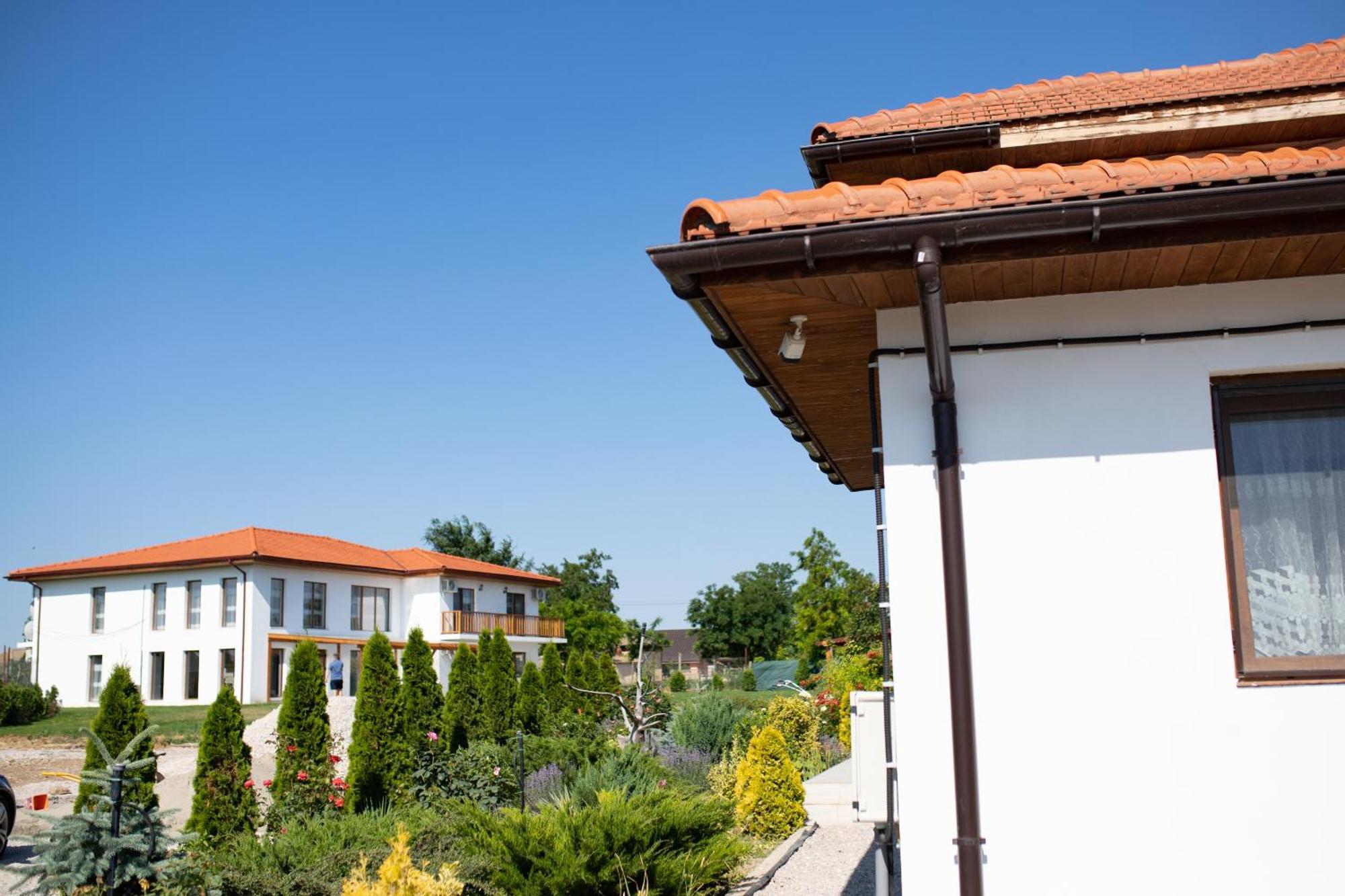 Pensiunea Paradiso Sarinasuf Εξωτερικό φωτογραφία
